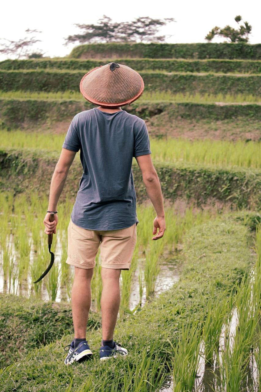 Traditional Balinese temple surrounded by lush tropical vegetation