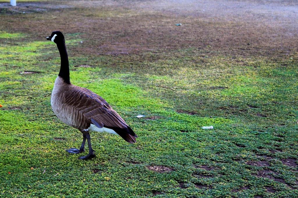 Travel expert assisting a solo traveler in a consultation